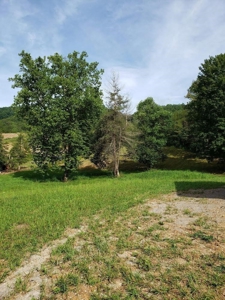 34 acre farm for sale in East Tennessee. - image 3