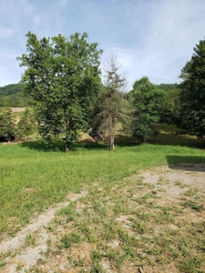 34 acre farm for sale in East Tennessee. - image 2