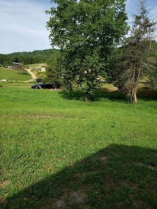 34 acre farm for sale in East Tennessee. - image 1