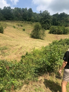 88 Acres With Small Country Home in East TN For Sale - image 35