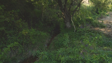 88 Acres With Small Country Home in East TN For Sale - image 17