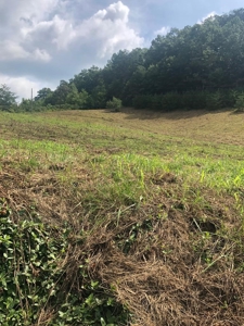 88 Acres With Small Country Home in East TN For Sale - image 38