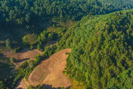 88 Acres With Small Country Home in East TN For Sale - image 33