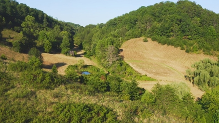 88 Acres With Small Country Home in East TN For Sale - image 13