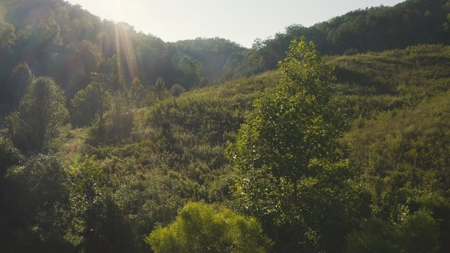 88 Acres With Small Country Home in East TN For Sale - image 12