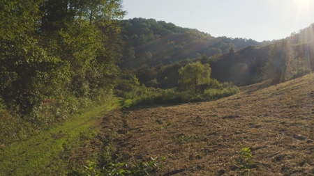 88 Acres With Small Country Home in East TN For Sale - image 23