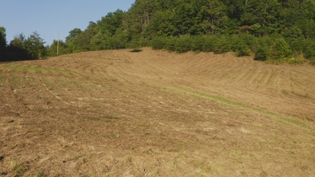 88 Acres With Small Country Home in East TN For Sale - image 10