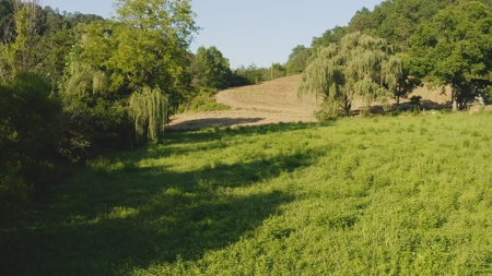 88 Acres With Small Country Home in East TN For Sale - image 19