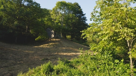 88 Acres With Small Country Home in East TN For Sale - image 22