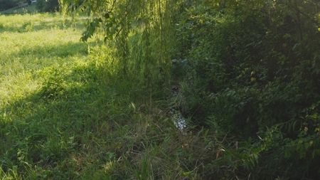 88 Acres With Small Country Home in East TN For Sale - image 18