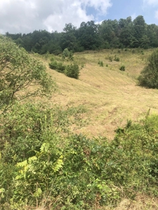 88 Acres With Small Country Home in East TN For Sale - image 34