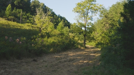88 Acres With Small Country Home in East TN For Sale - image 24