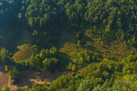 88 Acres With Small Country Home in East TN For Sale - image 31
