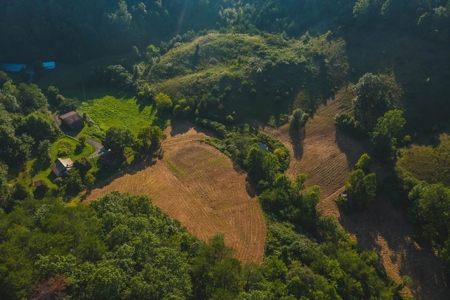 88 Acres With Small Country Home in East TN For Sale - image 30
