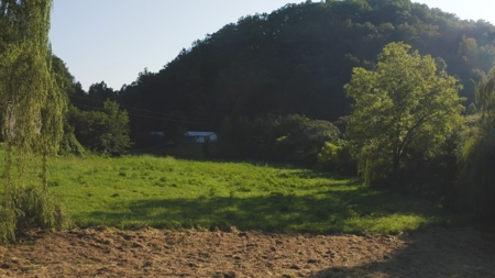 88 Acres With Small Country Home in East TN For Sale - image 5