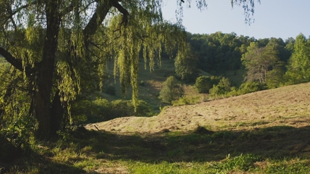 88 Acres With Small Country Home in East TN For Sale - image 4
