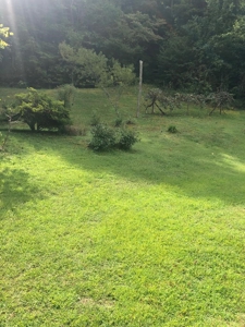 88 Acres With Small Country Home in East TN For Sale - image 48