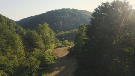 88 Acres With Small Country Home in East TN For Sale - image 25