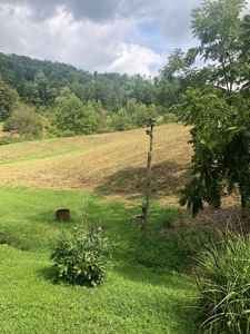 88 Acres With Small Country Home in East TN For Sale - image 1