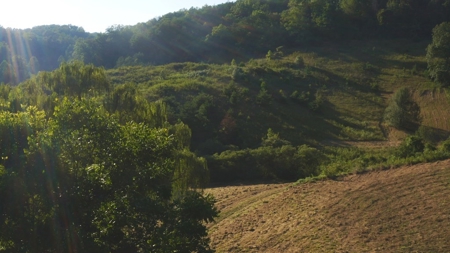 88 Acres With Small Country Home in East TN For Sale - image 7