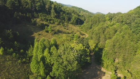 88 Acres With Small Country Home in East TN For Sale - image 27