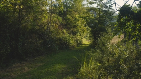 88 Acres With Small Country Home in East TN For Sale - image 26