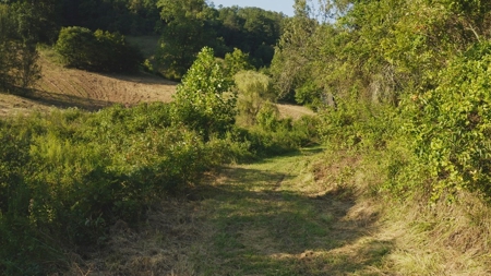 88 Acres With Small Country Home in East TN For Sale - image 20