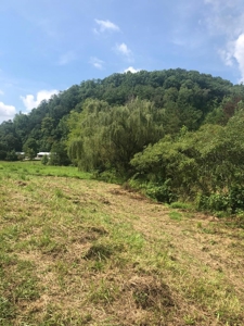 88 Acres With Small Country Home in East TN For Sale - image 37