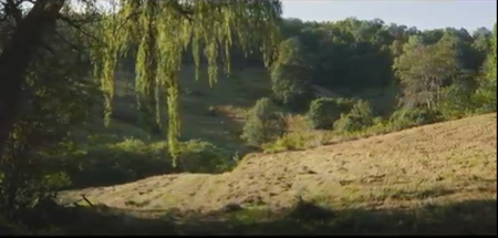 88 Acres With Small Country Home in East TN For Sale - image 3