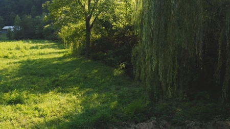 88 Acres With Small Country Home in East TN For Sale - image 16