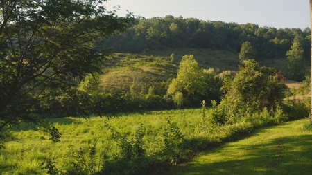 88 Acres With Small Country Home in East TN For Sale - image 9