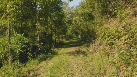 88 Acres With Small Country Home in East TN For Sale - image 21