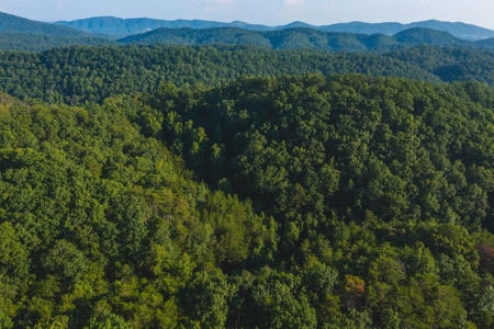 88 Acres With Small Country Home in East TN For Sale - image 29