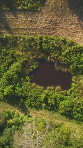 88 Acres With Small Country Home in East TN For Sale - image 14