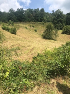 88 Acres With Small Country Home in East TN For Sale - image 36