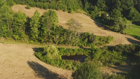 88 Acres With Small Country Home in East TN For Sale - image 11