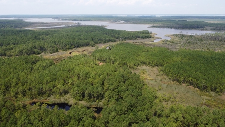 Recreational Waterfront Land for Sale in Hyde County - image 17