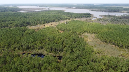 Recreational Waterfront Land for Sale in Hyde County - image 13