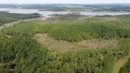 Recreational Waterfront Land for Sale in Hyde County - image 12
