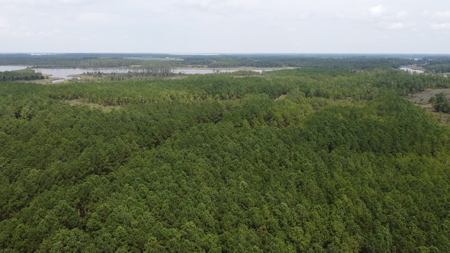 Recreational Waterfront Land for Sale in Hyde County - image 4