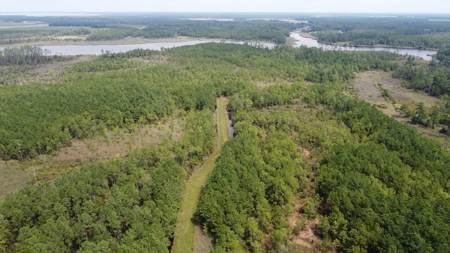 Recreational Waterfront Land for Sale in Hyde County - image 11