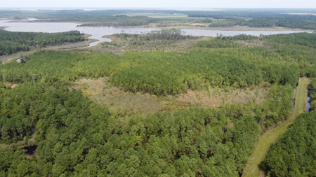 Recreational Waterfront Land for Sale in Hyde County - image 10