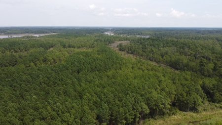 Recreational Waterfront Land for Sale in Hyde County - image 3
