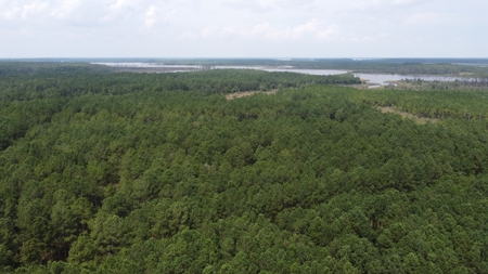 Recreational Waterfront Land for Sale in Hyde County - image 6