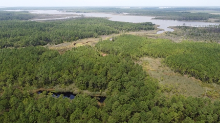 Recreational Waterfront Land for Sale in Hyde County - image 14