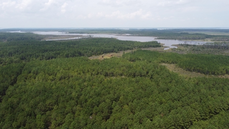 Recreational Waterfront Land for Sale in Hyde County - image 9