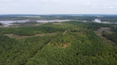 Recreational Waterfront Land for Sale in Hyde County - image 8