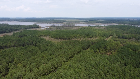 Recreational Waterfront Land for Sale in Hyde County - image 7