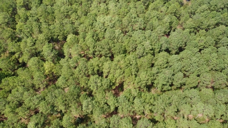 Recreational Waterfront Land for Sale in Hyde County - image 16