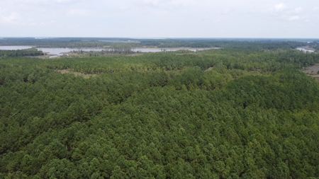 Recreational Waterfront Land for Sale in Hyde County - image 5